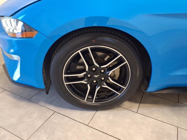 2023 Ford Mustang EcoBoost