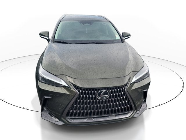 2024 Lexus NX NX 250