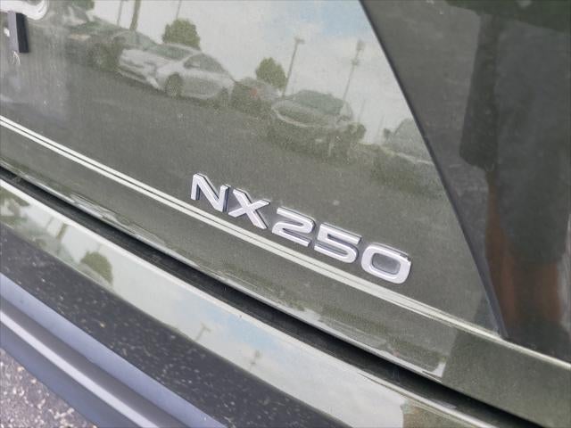 2024 Lexus NX NX 250