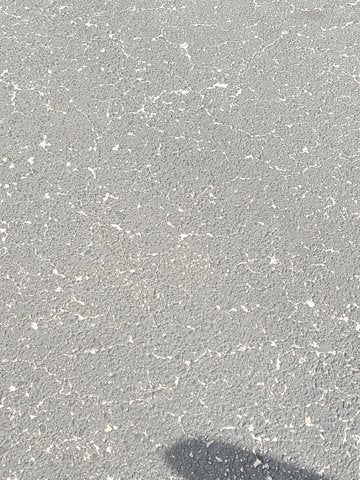 2019 Toyota Tacoma 2WD Base