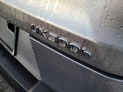 2025 Lexus UX300h UX 300h