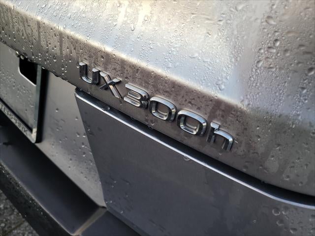 2025 Lexus UX300h UX 300h