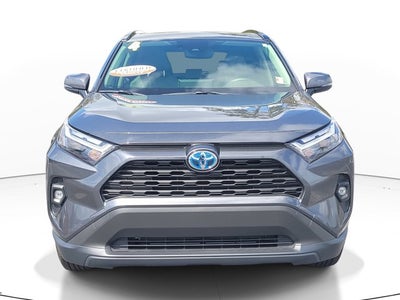 2024 Toyota RAV4 Hybrid XLE Premium
