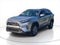 2025 Toyota RAV4 Hybrid Hybrid XLE