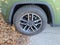 2019 Jeep Grand Cherokee Trailhawk