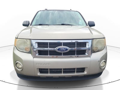 2011 Ford Escape XLT