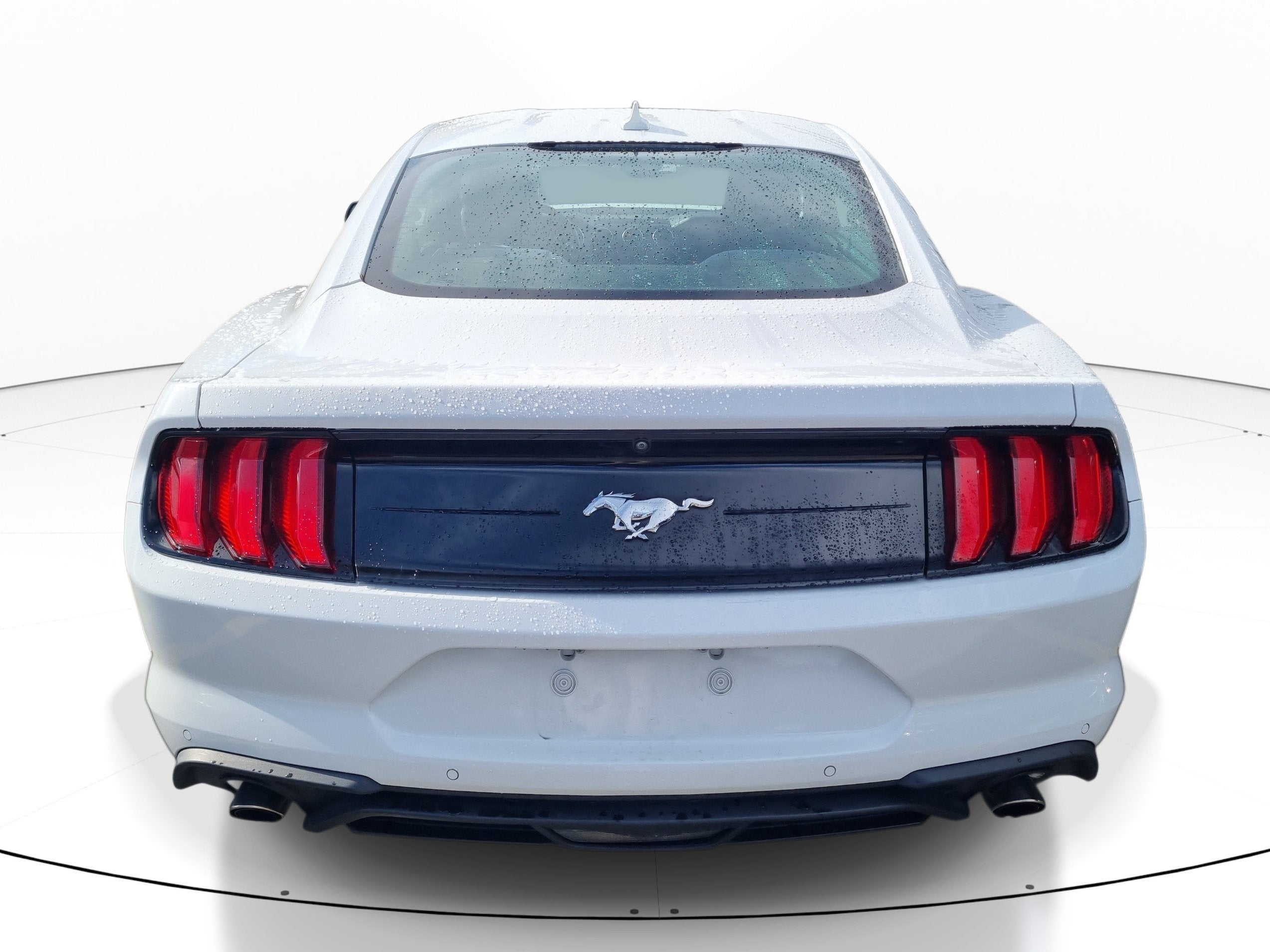 2022 Ford Mustang EcoBoost