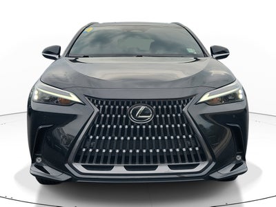 2024 Lexus NX NX 250 Premium